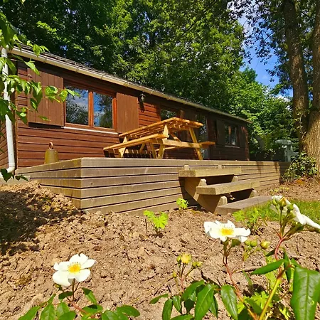 Lesse Toi Aller Dinant